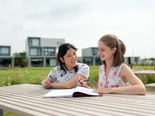 Mentors mentor mentors so that mentors can mentor students