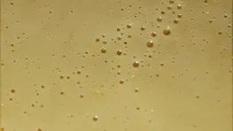 P1040621