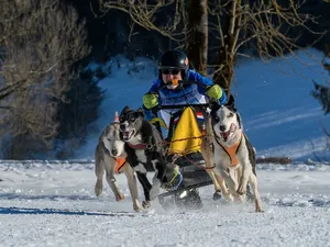 IMG_8515